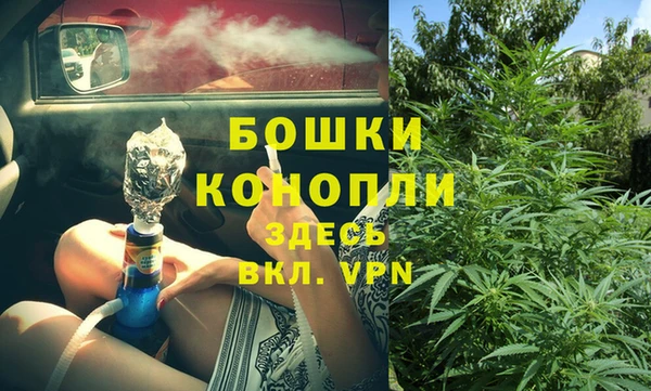 ПСИЛОЦИБИНОВЫЕ ГРИБЫ Надым