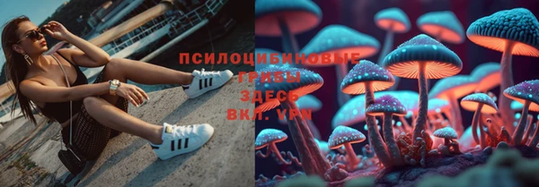 ПСИЛОЦИБИНОВЫЕ ГРИБЫ Надым