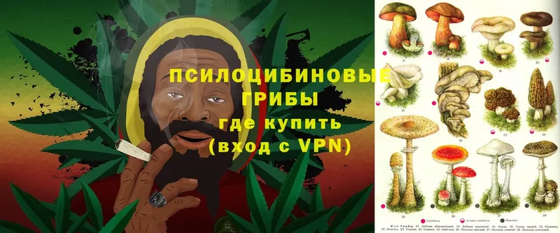 Галлюциногенные грибы GOLDEN TEACHER  Краснообск 